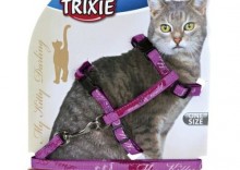 Trixie Szelki dla kota My Kitty Darling 27-44 cm/10 mm