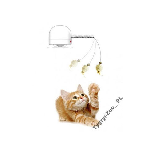 Frolicat twitch clearance